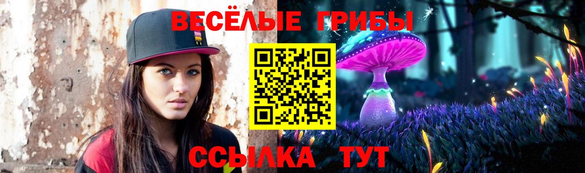 Галлюциногенные грибы Psilocybe  Вход с VPN  Каменск-Шахтинский 